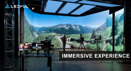 In what scenarios are immersive displays applied?