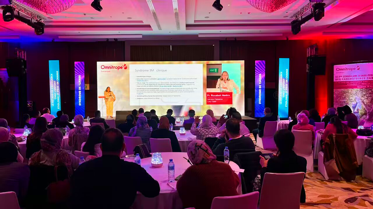 Popular HI P3.9 Rental LED Display In Algeria-1