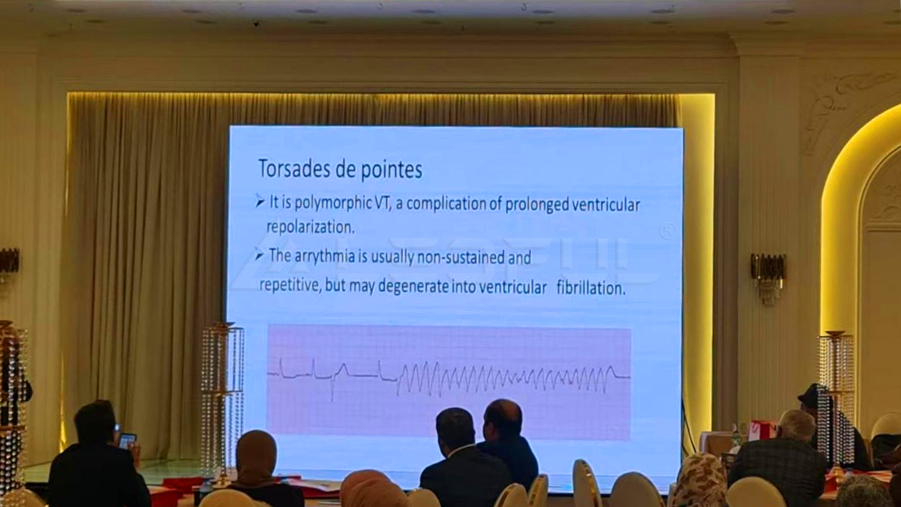 LEDFUL Indoor Rental LED Screen In Iraq-1