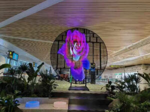 Transparent LED Screen